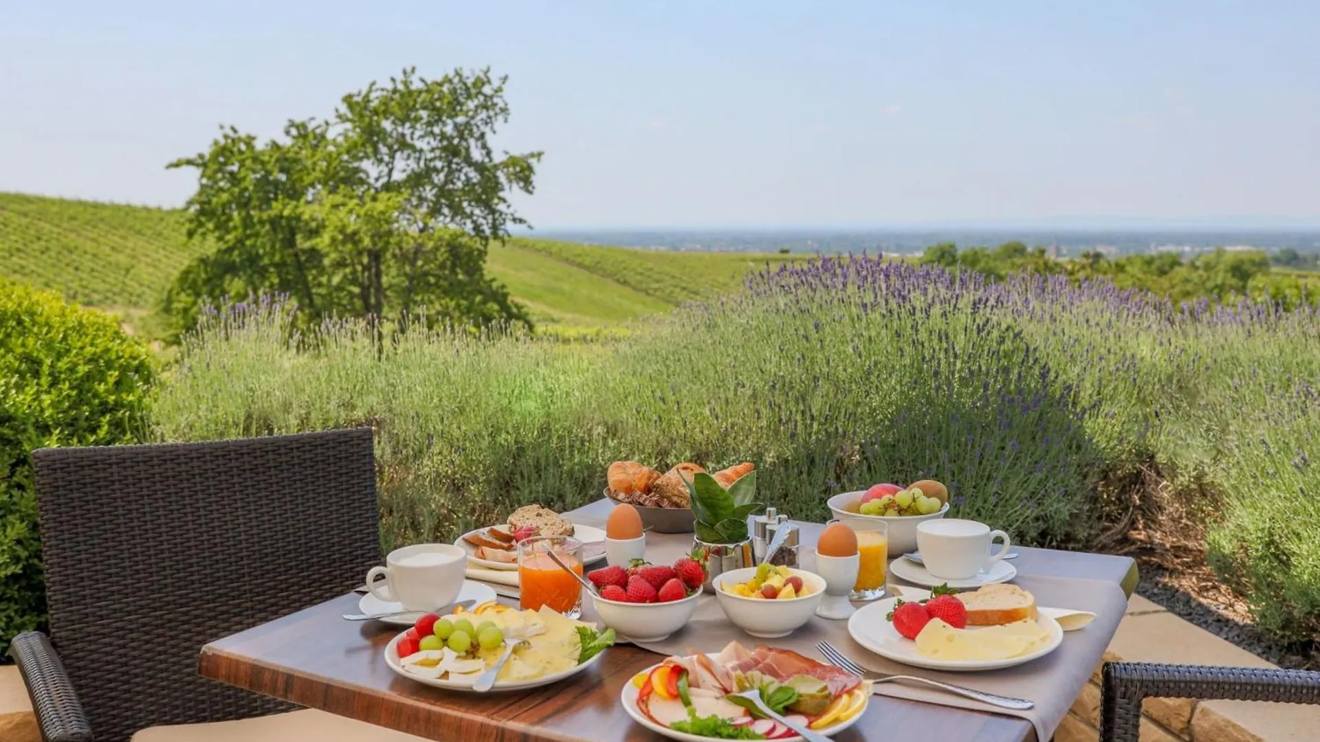 באדן-באדן Hotel Rebenhof